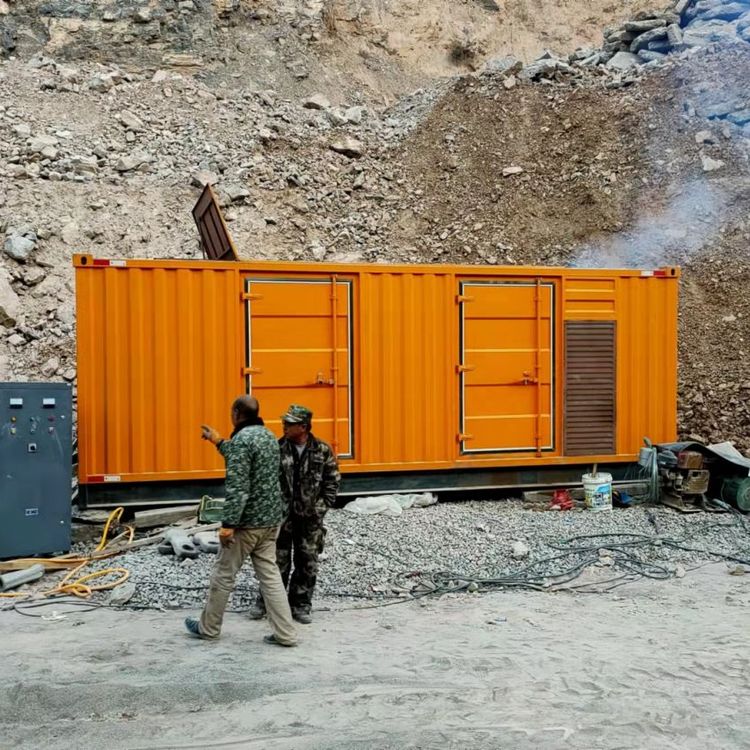 伍家岗如何选择适合自己的 800KW 柴油发电机组?